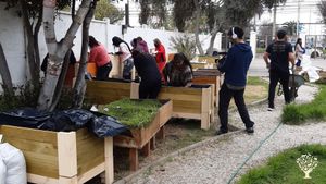 Fundación Apachita, dedicada a la enseñanza de la Eduación Ambiental y enseñanza de horticultura org
