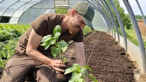 Kleiner regenerativ arbeitender Bauernhof / Small regenerative farm