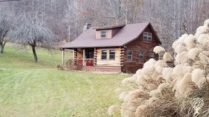 Wwoofer log cabin & Kitchen