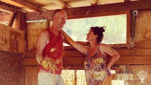 Treehouse cider  project - rural