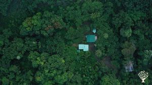Aerial View of Pono Style Farms, see the bananas, coconuts, mangoes, and other fruit trees? 