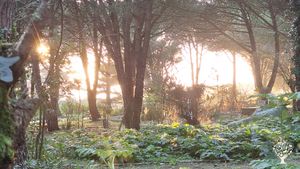 J'ai créé il y a deux ans des jardins où je cultive les plantes aromatiques et médicinales.