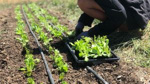 Azienda Agricola Biologica nell'appenino Modenese