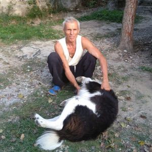 Ovidio