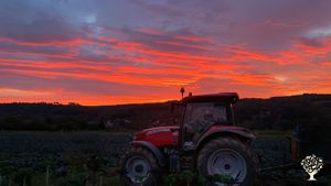 Ferme maraichère biologique