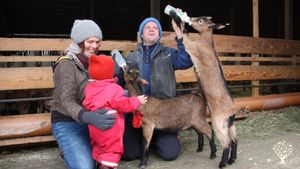 Familienbetrieb, Biobauernhof, Ziegenhaltung mit Käserei im Bodenseehinterland