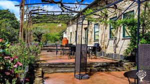 Farm in Douro Valley with almend and olive organic production