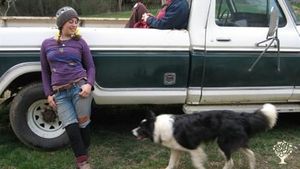 Diverse opportunities to WWOOF on two farms in Great Smoky Mountains