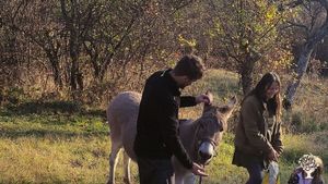 Mountain farm for permaculture cultivation of fruits, vegetables, herbs and animals.