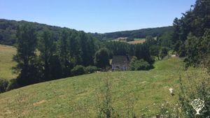 Lebens- und Begegnungshof - Vegan Farm - Animal Sanctuary