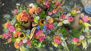 Flower Farm in the Mountains of NC