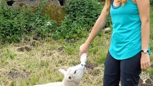 Agritourism Destination, Homestead, Hobby Farm, Market Garden, Livestock Farm, Orchard