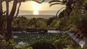 We are a small macadamia nut farm with a few other crops for sale or consume on the farm.