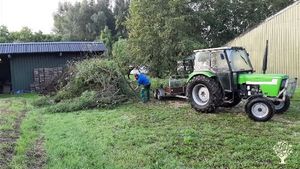 Family home and garden - rural, Smallholding, Hobby Farm, Fruit tree nursery, Orchard, Mixed Farm