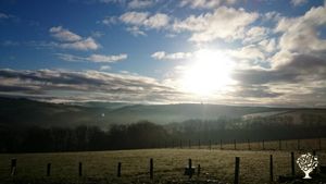 Smallholding, orchard