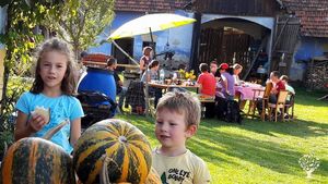 Small mixed farm with a vegetable CSA, grassland and some animals