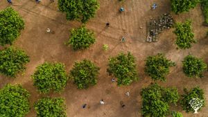 L’Eco-ferme Fructueux vous fera prendre de la graine !