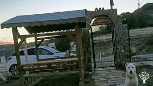 Yaban hayatı içinde meyve ağaçlarıyla çevrili manzaralı hayatın huzur bulduğu yer