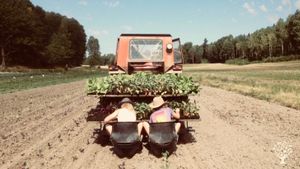 Vegetable farm, preservation and fermentaion of vegetables