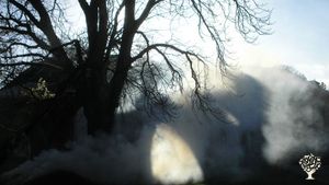 Éco-lieu visant la résilience locale, la vie en collectivité