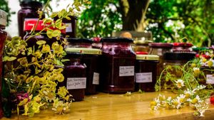 Solidarische Landwirtschaft