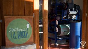 Allevamento razza ovina in via di estinzione (Sopravissana) e trasformazione della loro lana in filo