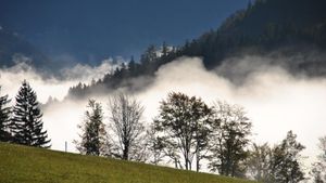 Family home and garden - rural