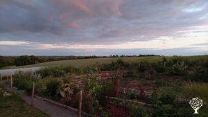 The permagarden - work in progress