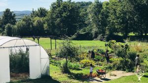 Création de paysages comestibles - forêt-jardin et légumes vivaces