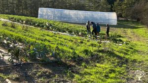 Azienda agricola biologica con produzione di ortaggi, vino, olio, uova e miele!