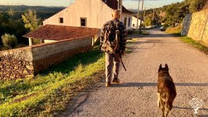 Small quinta with 12000 m2 of land, olivetrees, fruittrees and hospitalityservice for 6 guests.