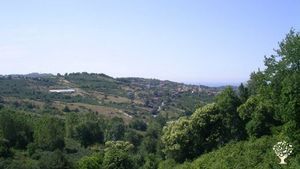Market Garden, Mixed Farm
