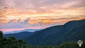 An educational farm dedicated to teaching our community about regenerative agriculture.
