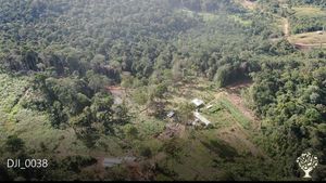 Ferme bio de culture de cacao et de transformation du cacao