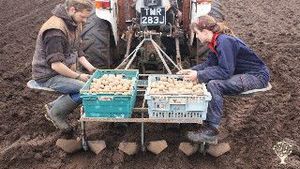 Community Supported Agriculture (CSA), Education Centre &  Community Benefit Society (31409R).