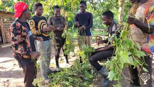 A sustainable farming and training project empowering orphans, youth, & rural families