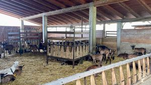 Fattoria agroecologia sulle colline teramane