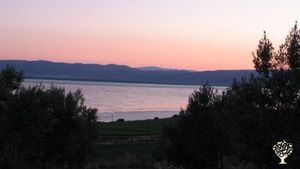 Zeytin hasadı, bağcılık ve hayvancılık / Olive-grape harvest, cow-sheep-chicken care
