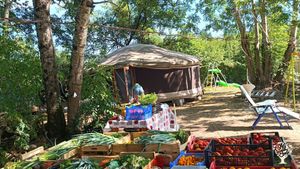 Micro-ferme maraîchère et fruitière en bio-intensif et permaculture