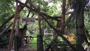 Family home and garden - urban