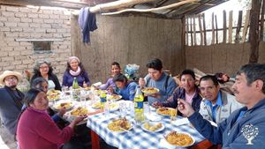 Family home and garden - rural