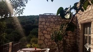 Organic farm in Eastern Crete