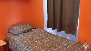 Small quinta with 12000 m2 of land, olivetrees, fruittrees and hospitalityservice for 6 guests.