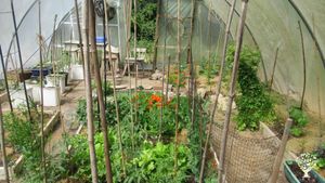 Educational centre, Co-operative for the Benefit of the Community.