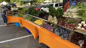 Year round farm, growing mixed vegetables, culinary mushrooms & microgreens.