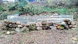 Maraîchage sur sol vivant, permaculture et agroforesterie
