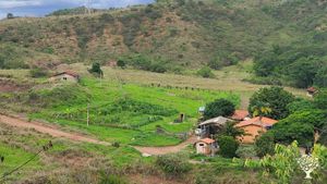 A view of the house and the first agroforestry plots from 2 years ago.