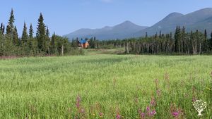 Family Farm, Homestead, Market Gardening