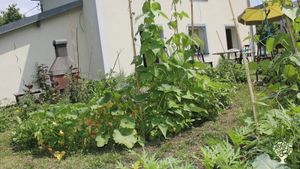 notre maison derrière la spirale. Depuis il y a une serre ici