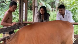 Permaculture Organic/Regenerative Farming & Workshops